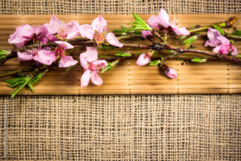 Branch with peach flowers on bamboo and hemp fabric texture Branch with peach flowers on bamboo and hemp fabric texture