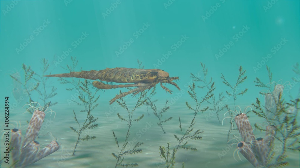 An animation of the large extinct Eurypterus exploring the sea floor