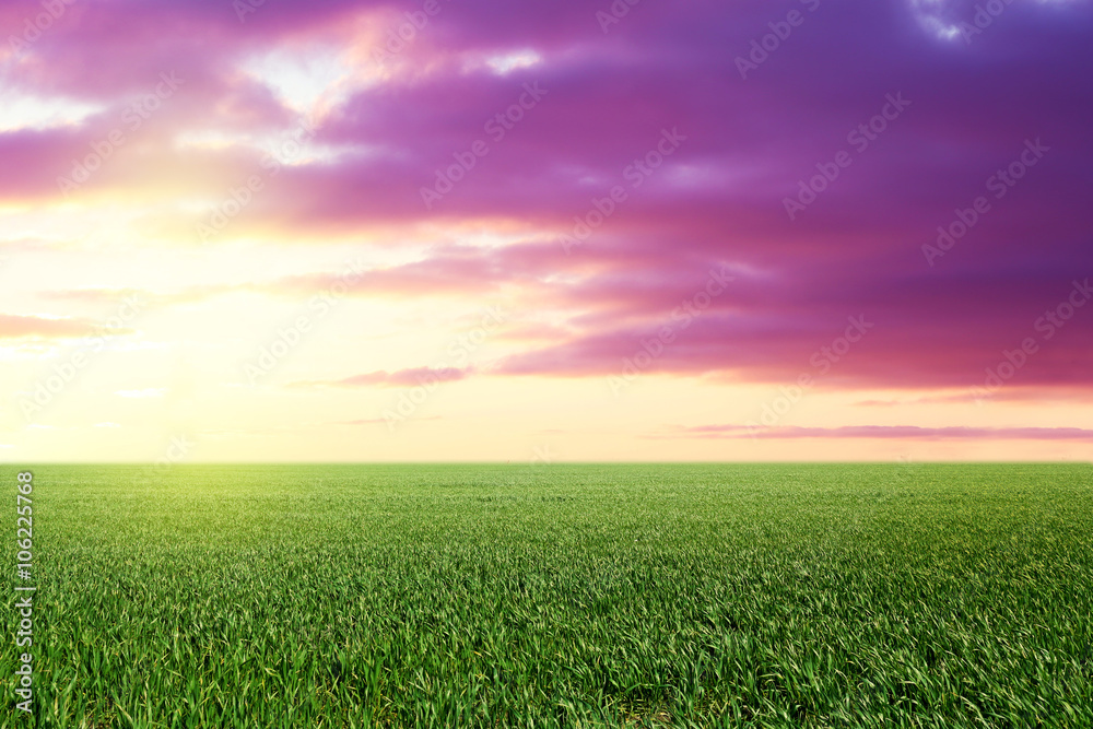 Obraz premium Green field and beautiful sky with sunlight