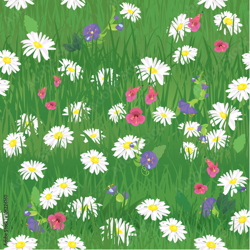 Seamless pattern - texture of grass and wild flowers - backgroun