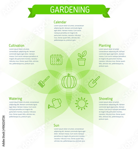 Infographic elements. Gardening flat line illustration concept. Components of harvest: planting, cultivation, shoveling, water, sun, calendar. Gardening tools and icons.