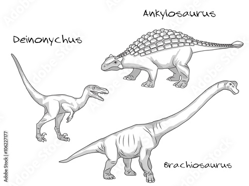 Thin line engraving style illustrations  various kinds of prehistoric dinosaurs  it includes deinonychus  ankylosaurus  brachiosaurus