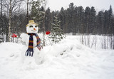 Funny snowman one on the edge of  forest .