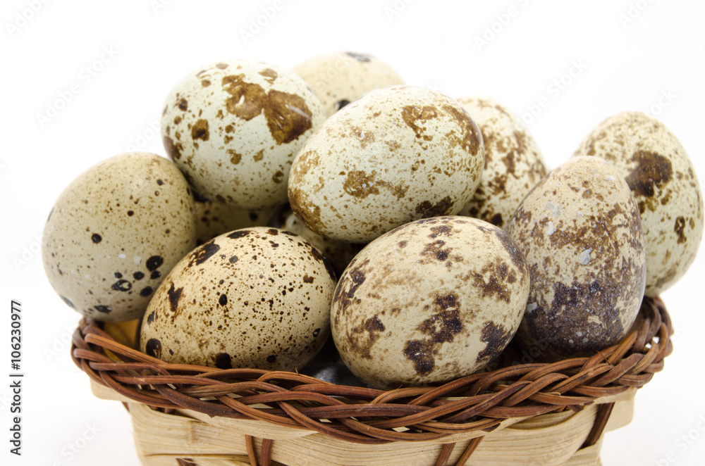 Spotted quail eggs Spotted quail eggs