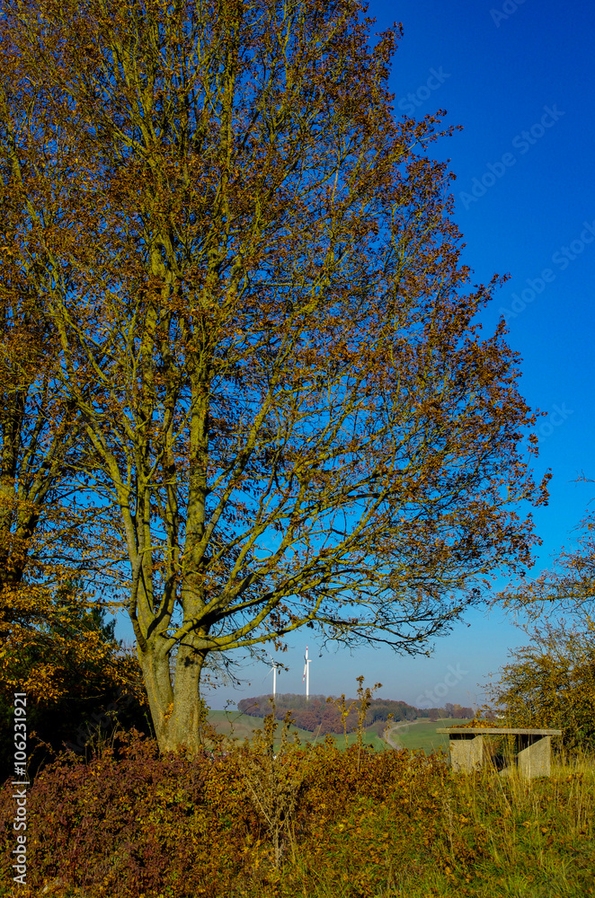 Fototapeta premium Rastplatz bei Ulm mit Windrädern im Hintergrund