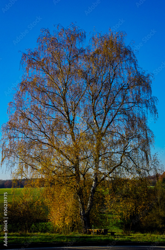 Obraz premium Rast Plätzle im Schwabenland bei Ulm