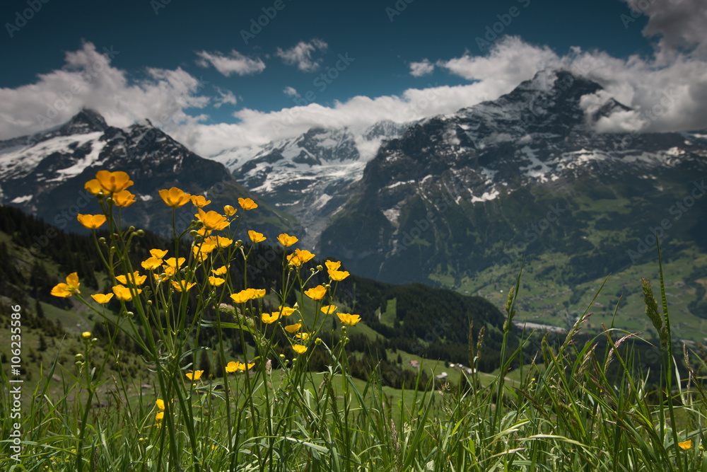 Fototapeta premium Valley Grindelwald, Switzerland