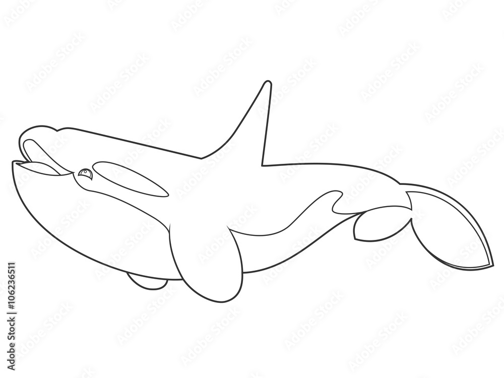 vector illustration of a killer whale on white background with black