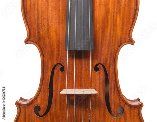 Violin detail  photo