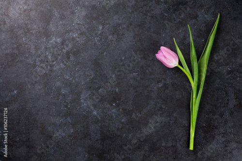 Fototapeta Naklejka Na Ścianę i Meble -  Fresh purple tulip flower