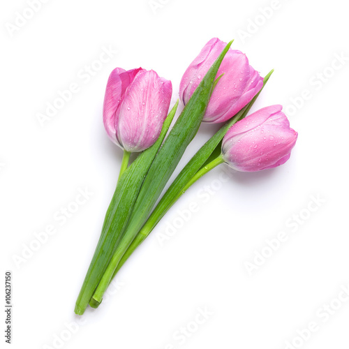 Fresh pink tulip flowers bouquet