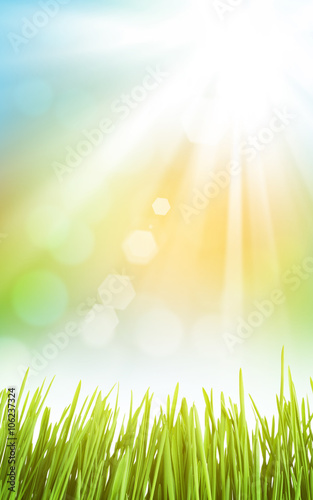 Abstract sunny spring background with grass