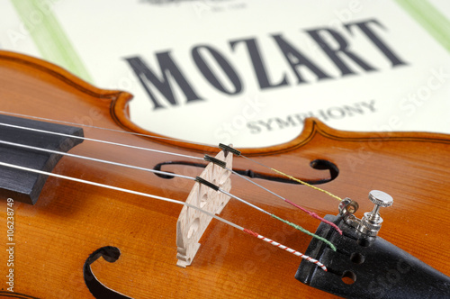 Konstfotografi Geige oder Violine