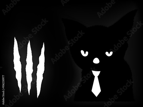 Black cat in a dark room