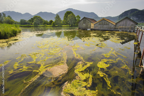 Algenblüte am Kochelsee in Bayern photo