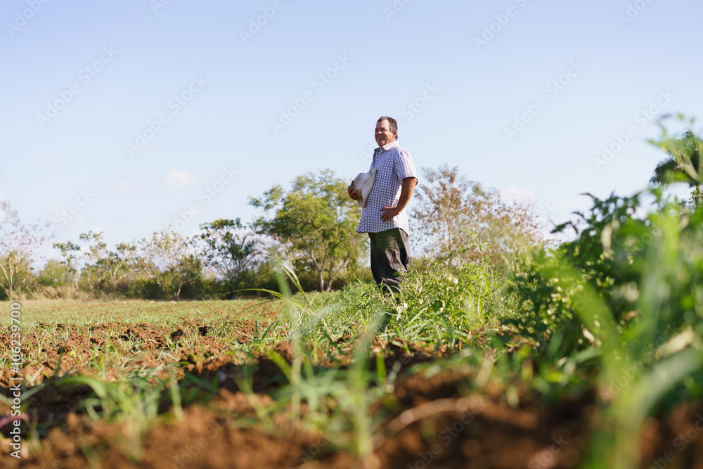 Portrait Man Farmer Standing In Tomato Field Looking Away Portrait Man Farmer Standing In Tomato Field Looking Away