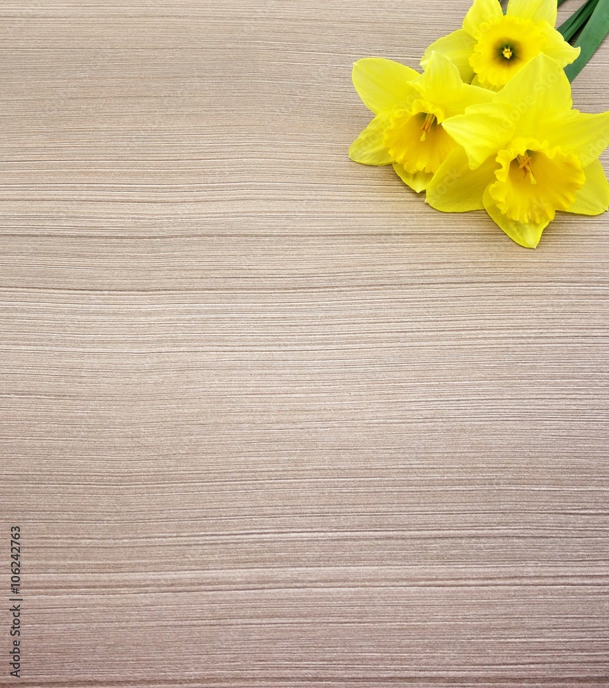 yellow daffodils in the corner of the wooden floor yellow daffodils in the corner of the wooden floor