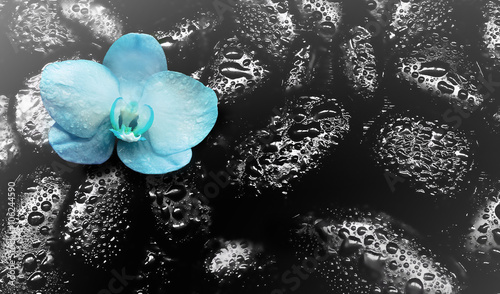Fototapeta Naklejka Na Ścianę i Meble -  Spa concept. Stones and Orchid flower.