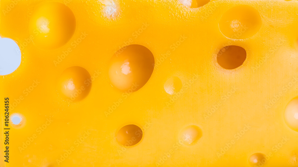 piece of cheese isolated