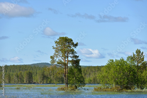 large river Oulankajoki photo