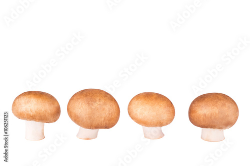 Line of champignon isolated on white background