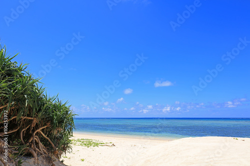 Fototapeta Naklejka Na Ścianę i Meble -  美しい沖縄のビーチと夏空