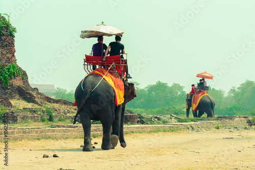 Tourists on elephant ride tourism