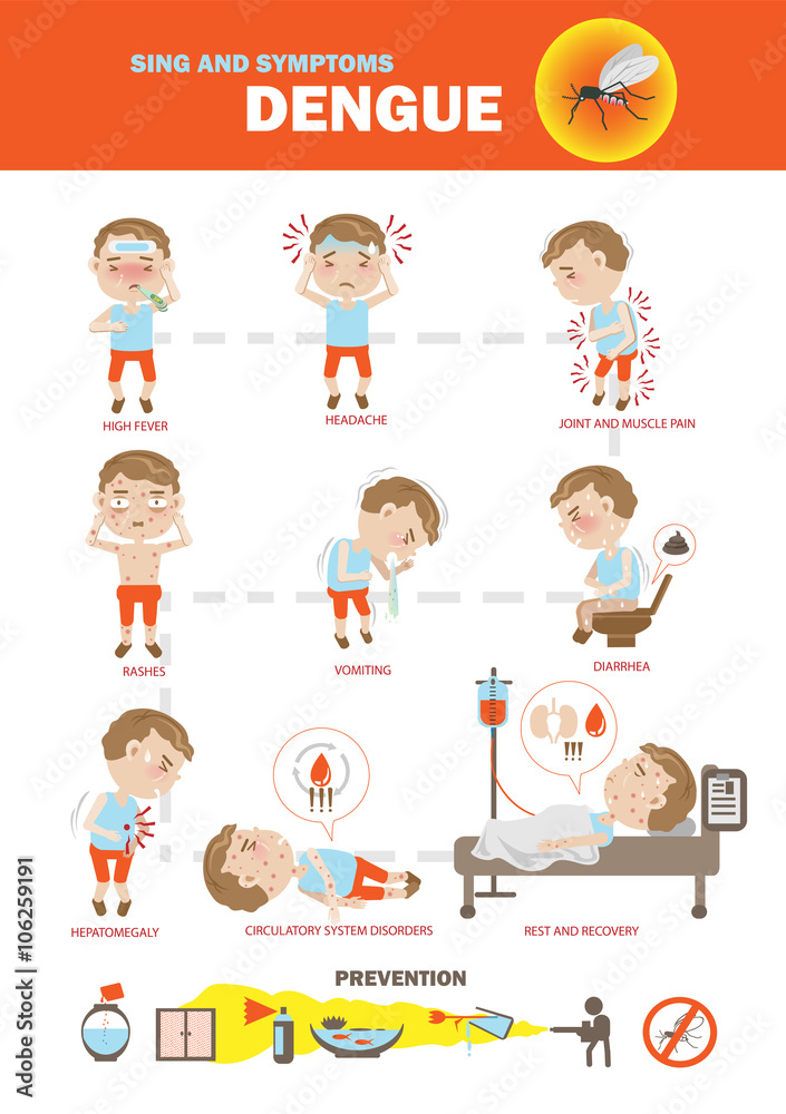 Dengue fever symptoms info graphics and icon prevention. vector