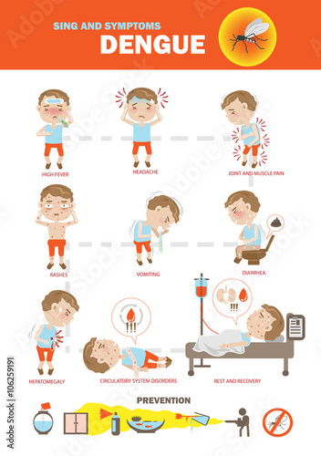 Dengue fever symptoms info graphics and icon  prevention. vector illustration.