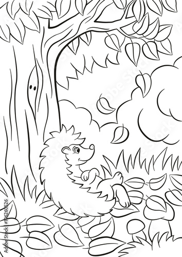 Little cute kind hedgehog sits near the tree and smiles.