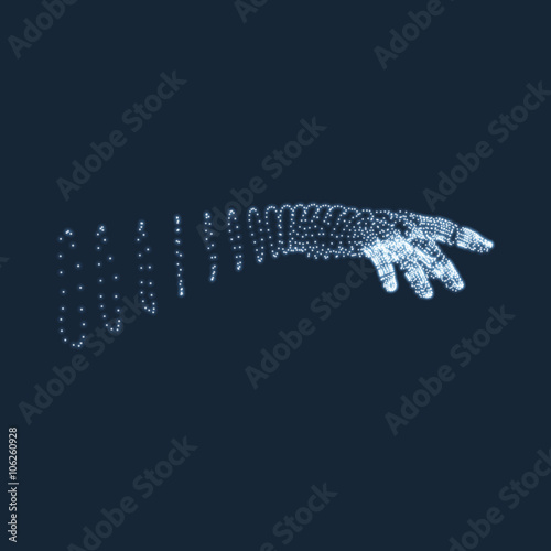 Fototapeta Naklejka Na Ścianę i Meble -  Human Arm. Human Hand Model. Hand Scanning. View of Human Hand. 3D Geometric Design. 3d Covering Skin. Can be used for Science, Technology, Medicine, Hi-Tech, Sci-Fi.