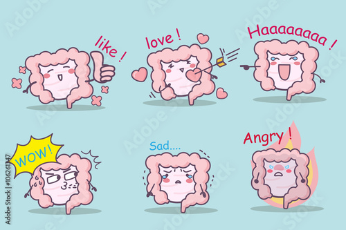 cute cartoon intestine set