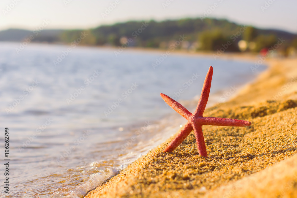 Summer Travel Destination Starfish on the Beach Summer Travel Destination Starfish on the Beach