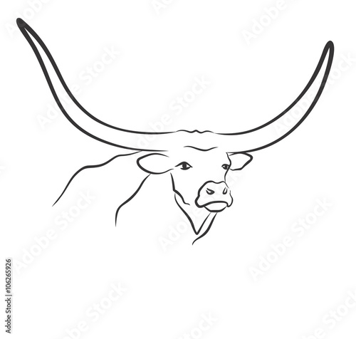 Logo head of bull.