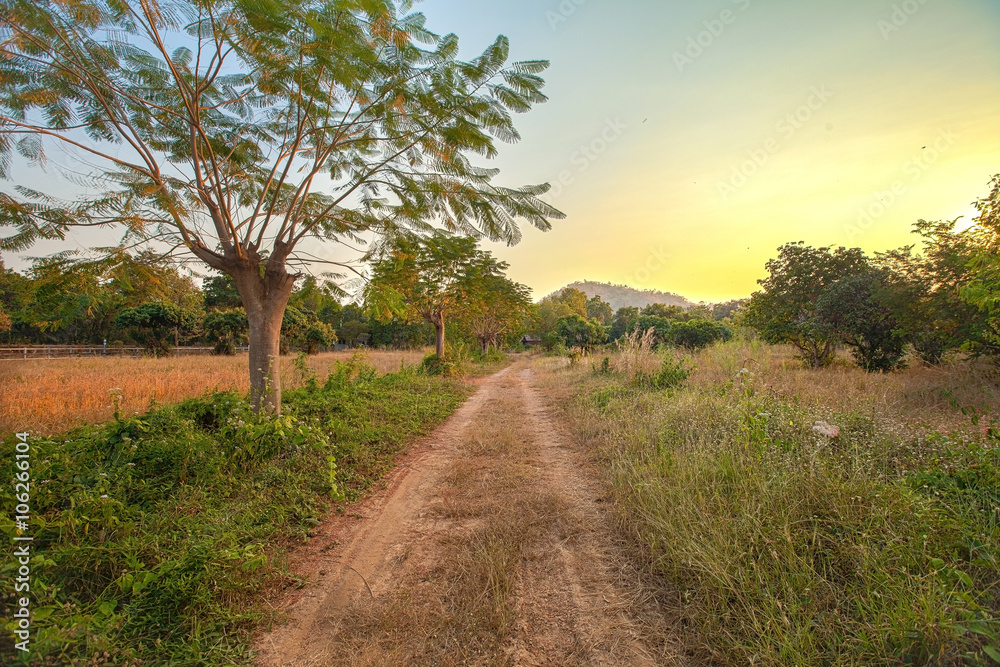 Country road in Thailand