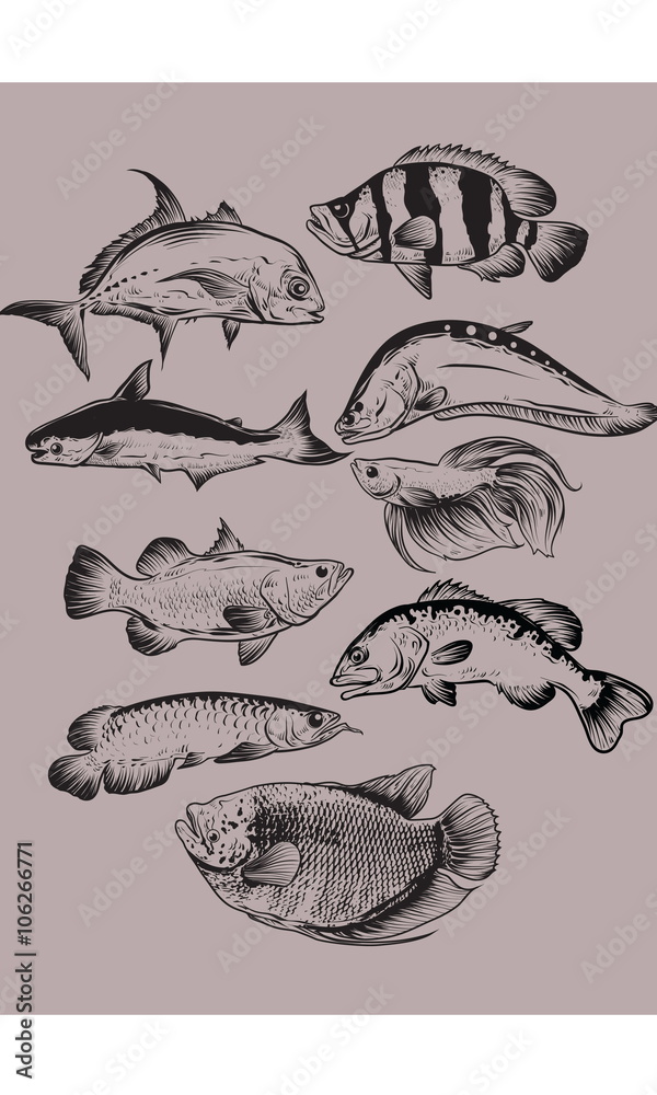 custom made wallpaper toronto digitalfish drawing