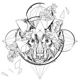 Animal head triangular icon , geometric trendy line design. Vector illustration ready for tattoo or coloring book. Wolf head low-poly sketch.