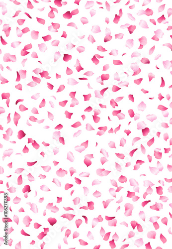 Pink cherry petals background.