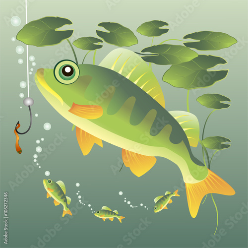 the fish in the river