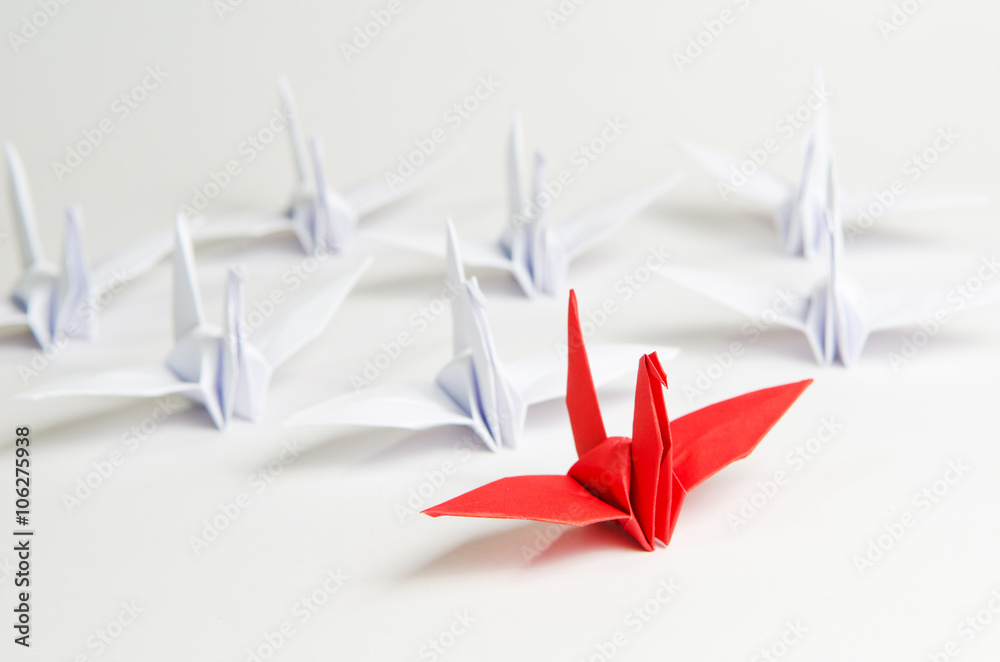 Close up red bird leading among white, Leadership concept.