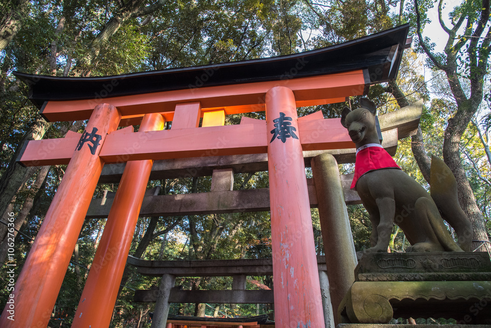 Kyoto,Japan-December 14, 2015 : view of Red Tori Gate at Fushimi Kyoto,Japan-December 14, 2015 : view of Red Tori Gate at Fushimi