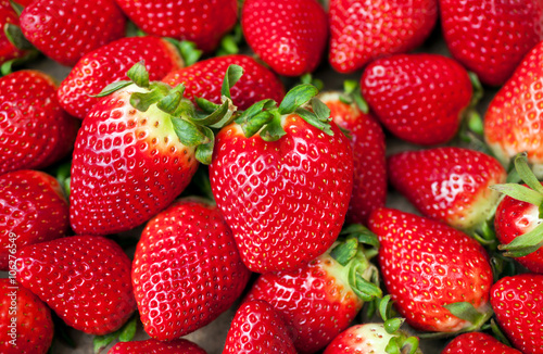 Lust auf Erdbeeren