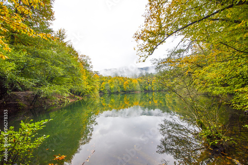 autumn landscape in (seven lakes) Yedigoller Park Bolu, Turkey