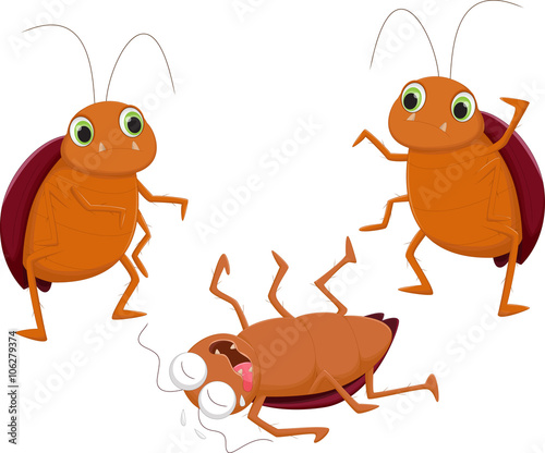 three cockroach cartoon