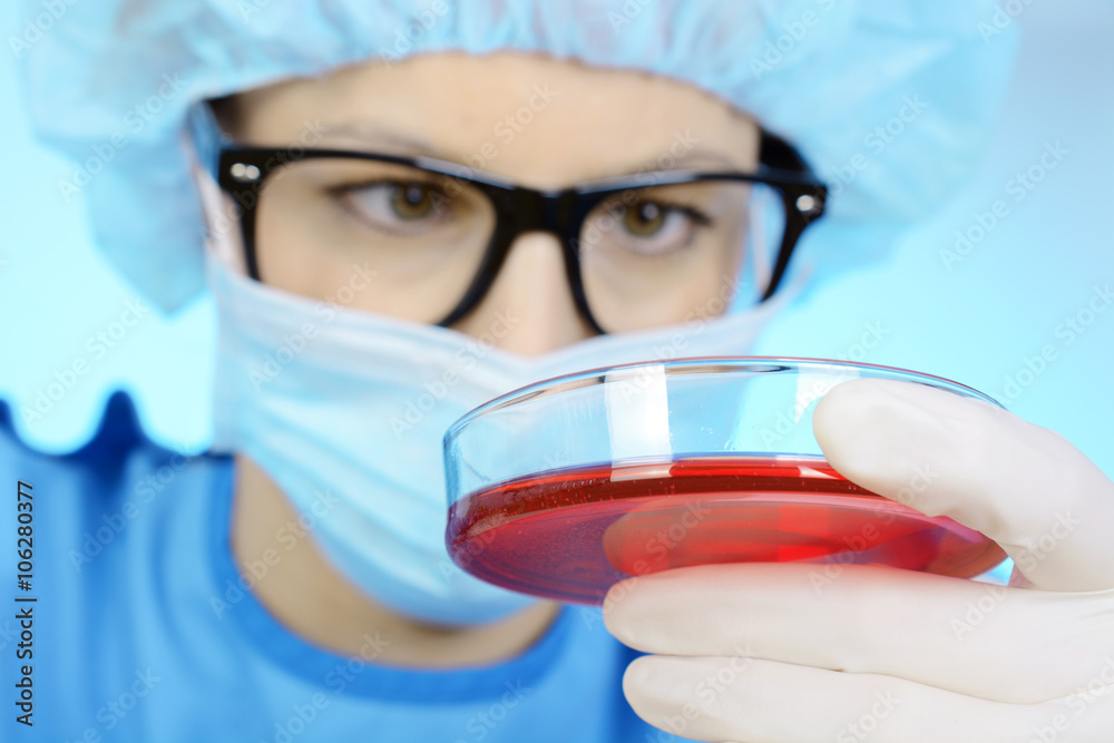 Arzt in Labor mit Blutprobe in Petrischale für Untersuchung und Auswertung Arzt in Labor mit Blutprobe in Petrischale für Untersuchung und Auswertung