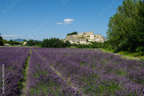 F, Provence, Drôme, Blick auf Grignan, Lavendelfeld