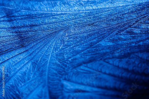 Frost Pattern