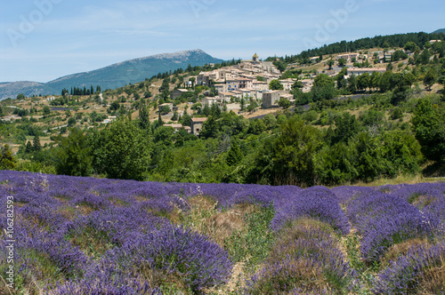 Blick über blühendes Lavendelfeld auf provenzalisches Dorf in den Bergen; F, Provence, Vaucluse, Aurel