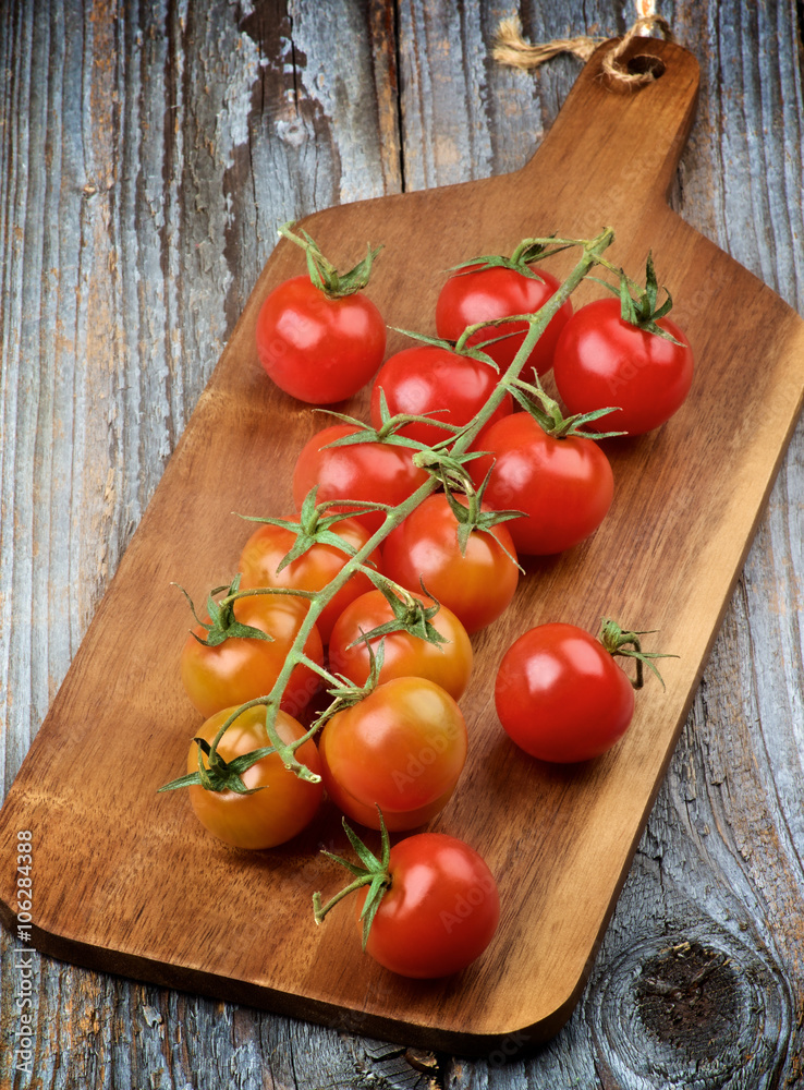 Branch of Cherry Tomatoes Branch of Cherry Tomatoes