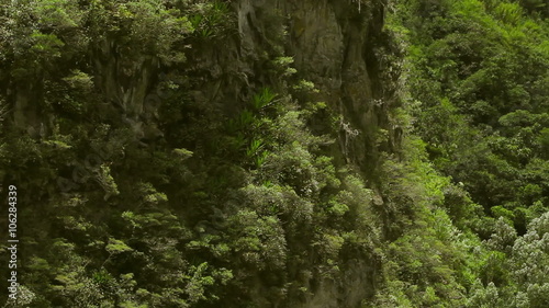 A wide shot pans across a dense green jungle-covered cliffside revealing a powerful waterfall cascading into a rocky basin - the Chamana falls near Banos in the Ecuadorian Andes.